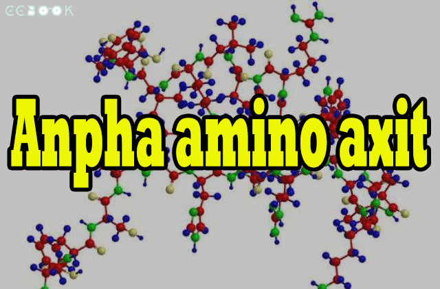 Amino axit là loại hợp chất hữu cơ tạp chức, trong phân tử có gì đặc biệt?
