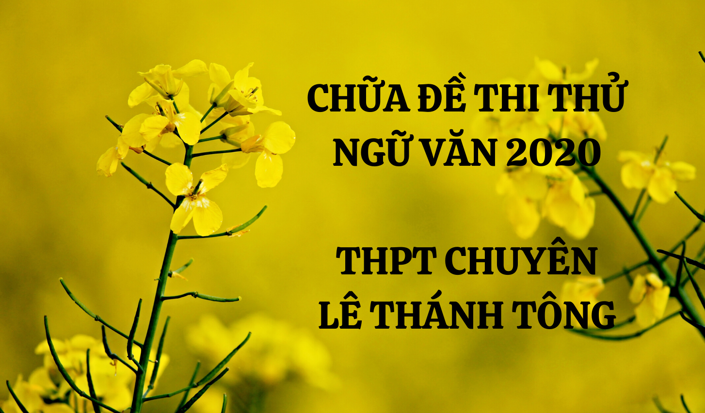 Đề thi thử văn THPT QG 2020: Chuyên Lê Thánh Tông Quảng Nam