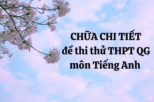 Thi thử THPT Quốc gia 2020 Tiếng Anh Ninh Bình: Full đề thi và đáp án